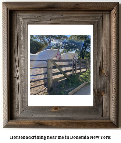 horseback riding near me in Bohemia, New York